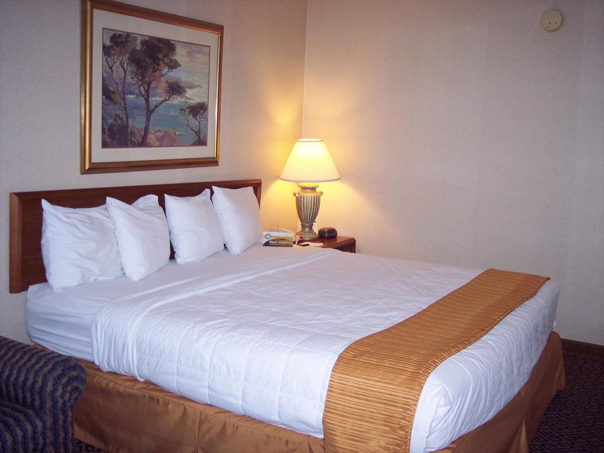 Quality Inn And Conference Center Springfield Rom bilde